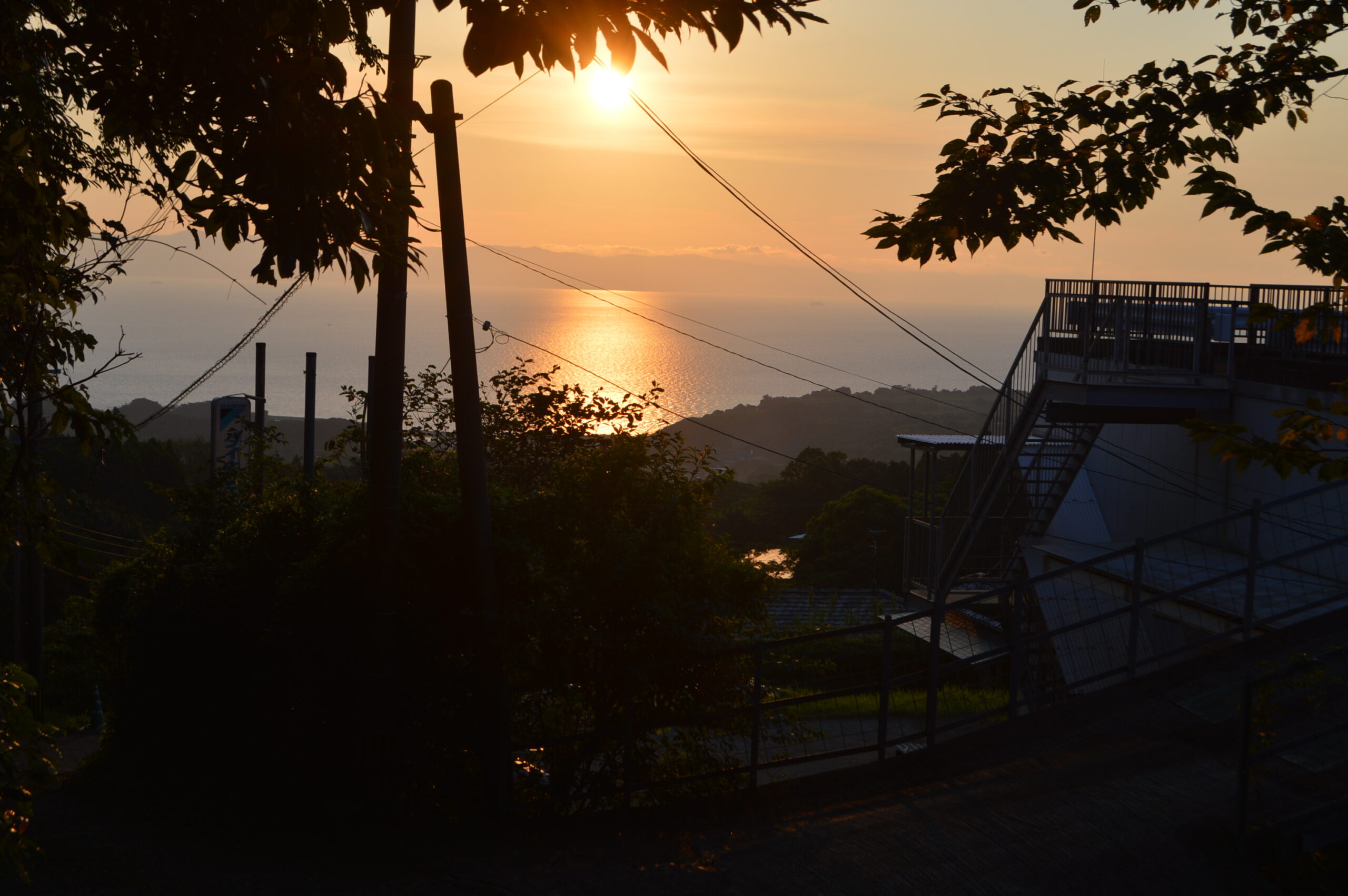 DSC_1167